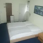 هوتيلغارني 3* فرانكفورت
